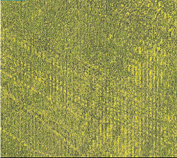 Ковровая плитка Milliken In Situ imv 103-62 Foliage фото 1 | FLOORDEALER